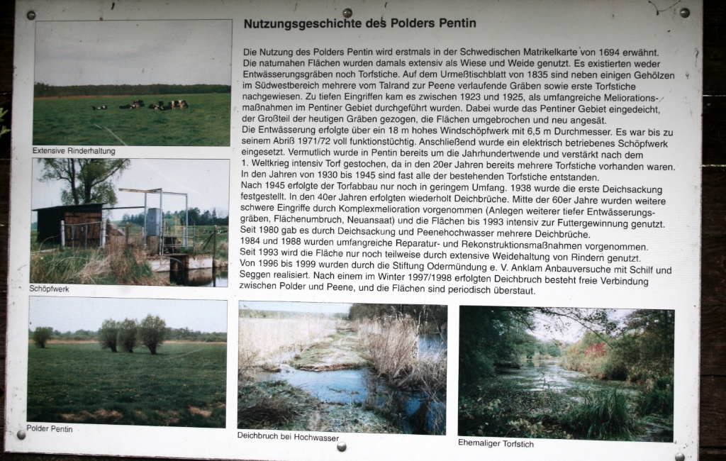 VWG vogelreis Oost Duitsland mei 2010 339